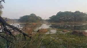 Scenic View of Sultanpur National Park